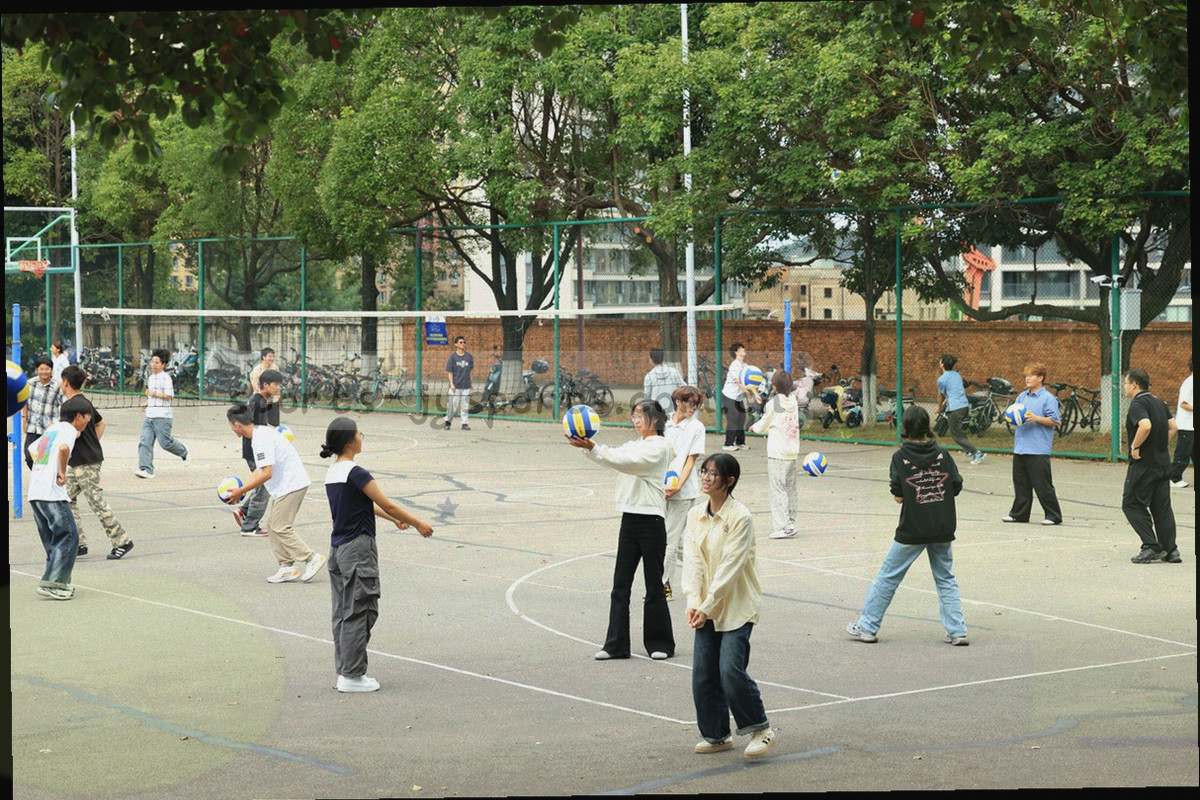 球场边线与规则网格叠加的抽象图形，无文字无人物